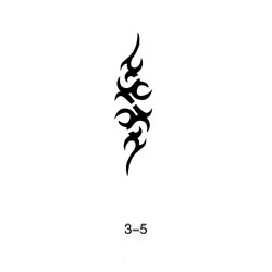 Šablóna pre trblietavé tetovanie Fengda 03-05