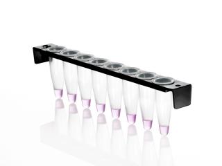 8 Well PCR Tube Strip with PC Frame and domed caps Farba: clear wells, black frame