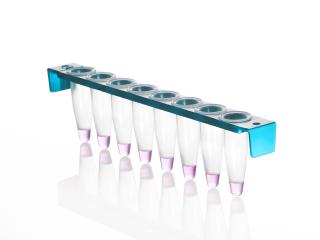 8 Well PCR Tube Strip with PC Frame and domed caps Farba: clear wells, blue frame