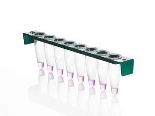 8 Well PCR Tube Strip with PC Frame and domed caps Farba: clear wells, green frame