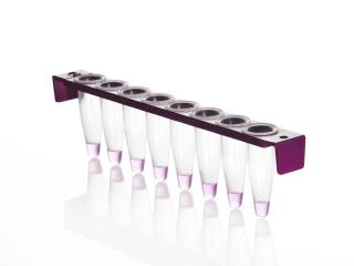 8 Well PCR Tube Strip with PC Frame and domed caps Farba: clear wells, purple frame