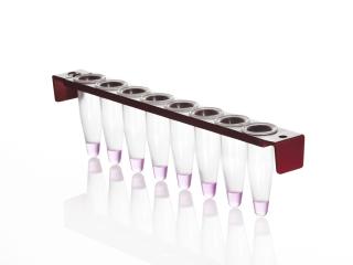 8 Well PCR Tube Strip with PC Frame and domed caps Farba: clear wells, red frame