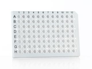 96-jamková PCR platnička s obrubou Farba: white