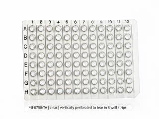 96 Well Non-Skirted PCR Plate Breakable Horizontally or Vertically Farba: clear 96/8