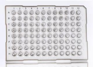 96 Well Semi-Skirted PCR Plate With Upstand, ABI® Style Farba: clear