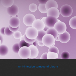 Anti-infection compound library
