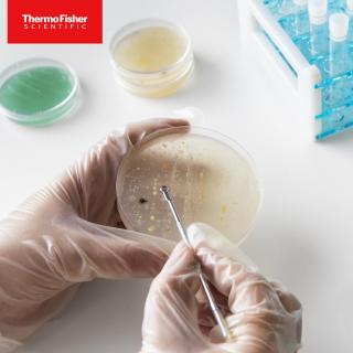 Antibiotic medium no.3 (assay b, 500g