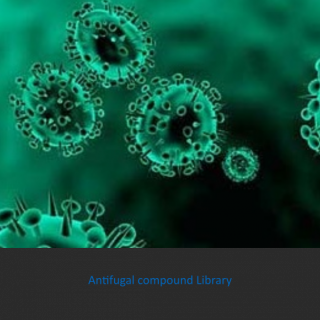 Antifugal compound library