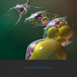 Bioactive lipid library