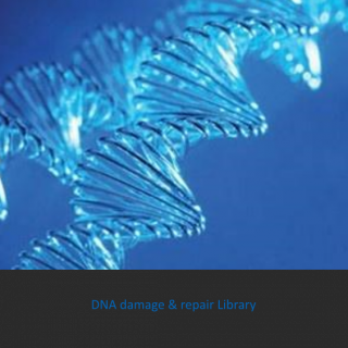 DNA damage & repair library