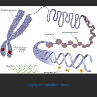 Epigenetics inhibitor library