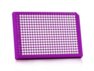 FrameStar® 384-jamková PCR platňa s obrubou Farba: clear wells, purple frame