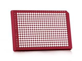 FrameStar® 384 Well Skirted PCR Plate Farba: clear wells, red frame