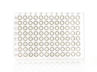 FrameStar® 96 Well Non-Skirted PCR Plate Farba: clear wells, clear frame