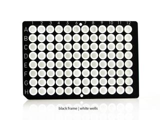 FrameStar® 96 Well Non-Skirted PCR Plate Farba: white wells, black frame