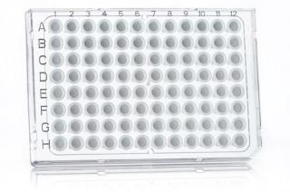 FrameStar® 96 Well Semi-Skirted PCR Plate, Roche Style, High Sensitivity