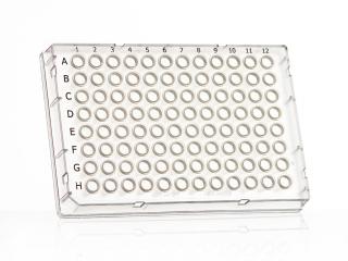 FrameStar® 96 Well Skirted PCR Plate Farba: clear wells, clear frame