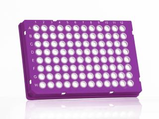 FrameStar® 96 Well Skirted PCR Plate Farba: clear wells, purple frame
