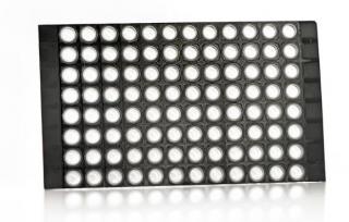 FrameStar® Breakable Horizontally and Vertically PCR Plate, Low Profile