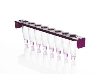 FrameStrip® 8-jamkové prúžky PCR skúmaviek, plus pásiky s plochým optickým uzáverom Farba: clear wells, purple frame