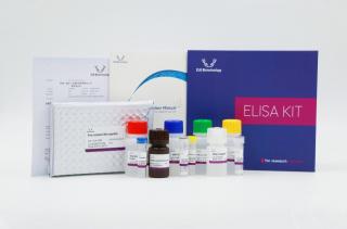 Human TPS(Tryptase) ELISA Kit Veľkosť: 48T