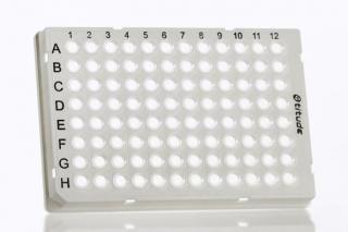 Individual Access 96 Well Skirted PCR Plate