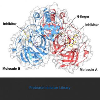Knižnica inhibítorov proteázy