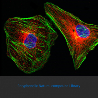 Knižnica polyfenolových prírodných produktov