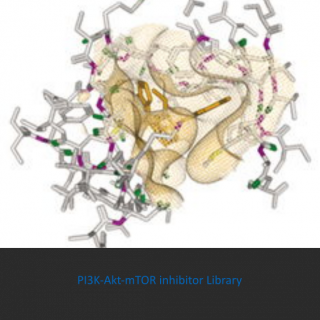 Knižnica zlúčenín PI3K-AKT-mTOR