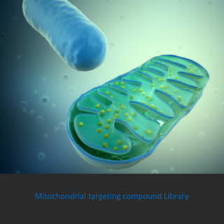 Mitochondrial Targeting Compound Library