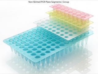 Non-Skirted PCR Plate Segment Prevedenie: green, 1 x 8 wells; 600 segments