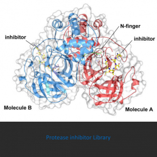 Protease inhibitor library