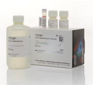 Qubit™ dsDNA Quantification Assay Kits