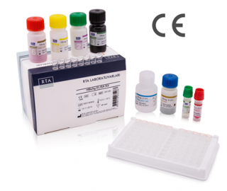 RTA HBV Real Time PCR Kit