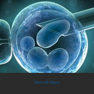 Stem cell Differentiation Compound Library