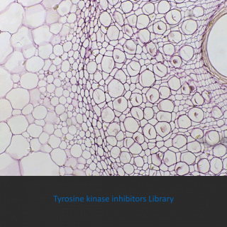Tyrosine kinase inhibitors library