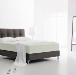 Plachta SUPER STRETCH Jersey Prírodná, Vyberte rozmer 200 x 220 cm