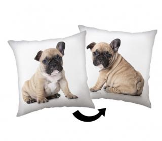 JERRY FABRICS Vankúšik Bulldog  Polyester, 40/40 cm