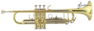 Trumpeta BACH Bb Student séria TR305 (Trumpeta)