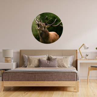 Kruhová samolepka na stenu "Jeleň 2" 60 cm