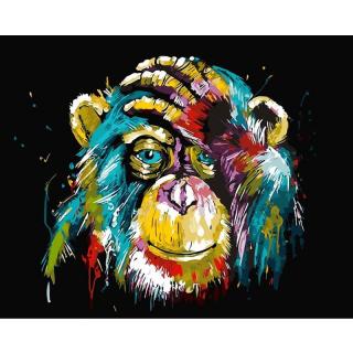 Maľovanie podľa čísiel s rámom "Farebná opica" 50x40 cm