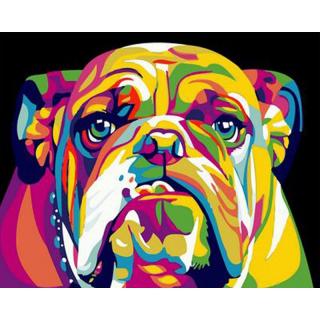 Maľovanie podľa čísiel s rámom  Farebný Bulldog  50x40 cm