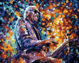 Maľovanie podľa čísiel s rámom  stevie wonder  50x40 cm