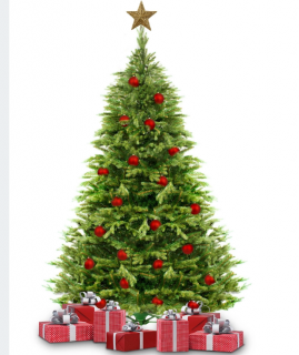 Vianočný stromček - Smrek 220 cm