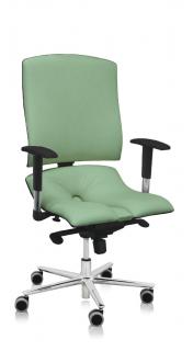 Ergonomická kancelárska stolička Asana Steel Standard  11 farieb Farba čalúnenia: Eko koža Zelená 569, Opierky rúk: bez opierok