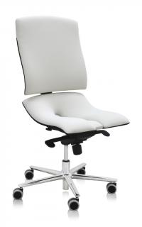 Ergonomická kancelárska stolička Asana Steel Standard  11 farieb Farba čalúnenia: Látka Atlantic Biela 60063, Opierky rúk: bez opierok