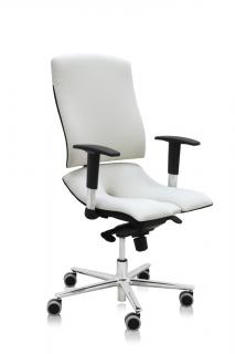 Ergonomická kancelárska stolička Asana Steel Standard  11 farieb Farba čalúnenia: Látka Atlantic Biela 60063, Opierky rúk: s opierkami