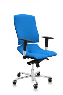 Ergonomická kancelárska stolička Asana Steel Standard  11 farieb Farba čalúnenia: Látka Atlantic Modrá 66086, Opierky rúk: s opierkami
