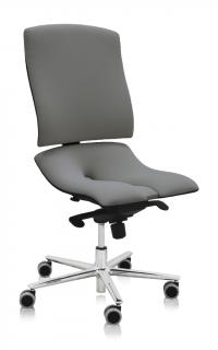 Ergonomická kancelárska stolička Asana Steel Standard  11 farieb Farba čalúnenia: Látka Atlantic Sivá 60142, Opierky rúk: bez opierok