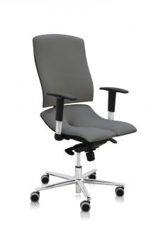 Ergonomická kancelárska stolička Asana Steel Standard  11 farieb Farba čalúnenia: Látka Atlantic Sivá 60142, Opierky rúk: s opierkami